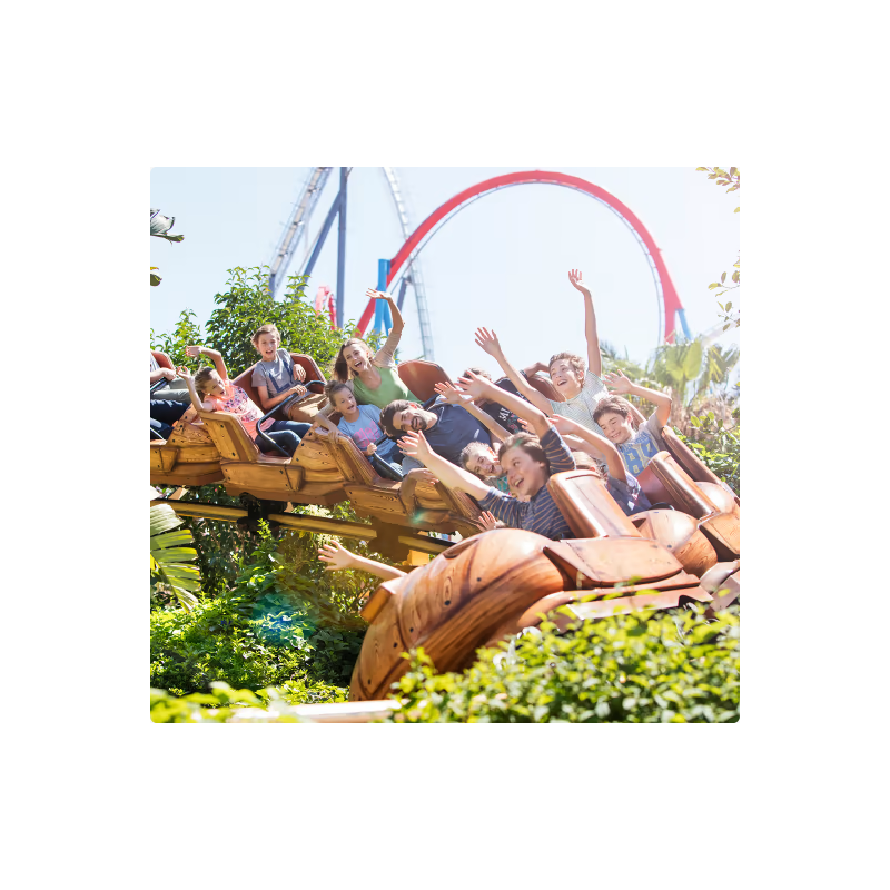 PortAventura Park - Billet Flex 1 JOUR