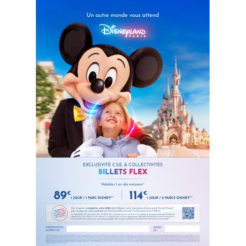 Disney - Billet FLEX - Validité 1 an à date d'achat et tous les jours - Réservation obligatoire