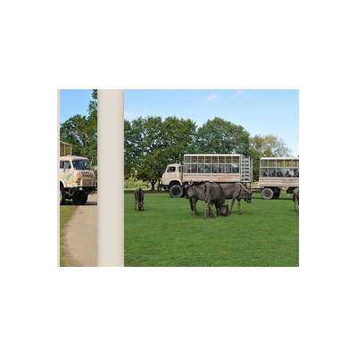 Planète Sauvage Parc + Raid 4X4 ou Rencontre avec les Dauphins