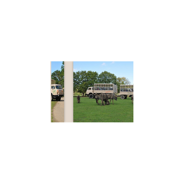 Planète Sauvage Parc + Raid 4X4 ou Rencontre avec les Dauphins