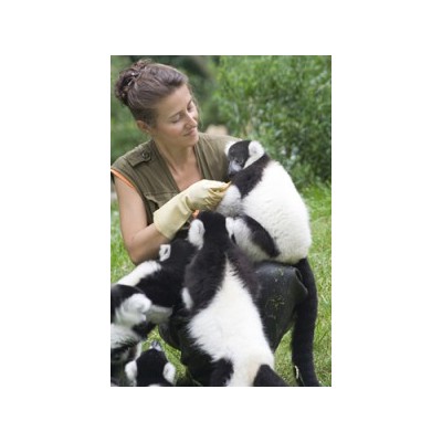 ECOZOO DES SABLES D'OLONNE