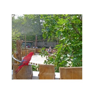 ECOZOO DES SABLES D'OLONNE