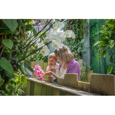 @Terra Botanica Angers Offre Spéciale Rentrée 2026