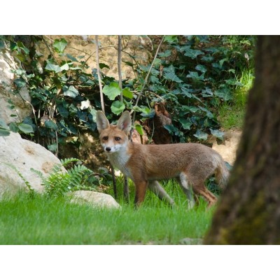 @Center Parcs – 1 journée