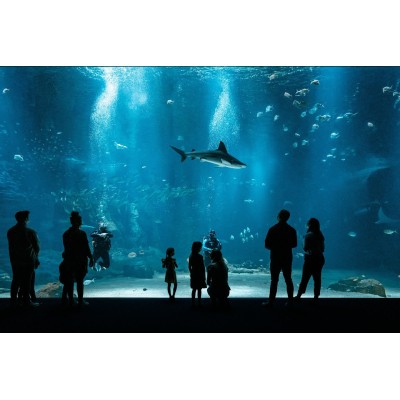 @Nausicaa Centre National De La Mer