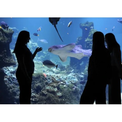 @Nausicaa Centre National De La Mer