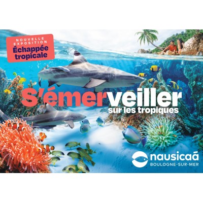 @Nausicaa Centre National De La Mer