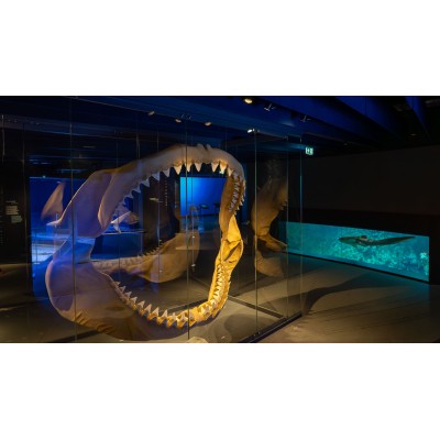 @Océanopolis Brest
