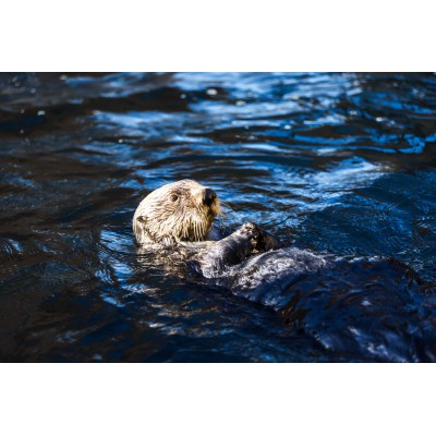 @Océanopolis Brest
