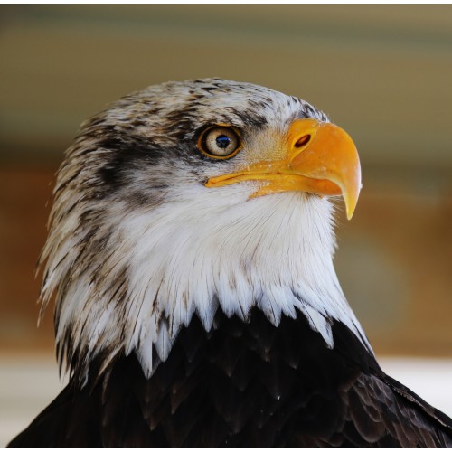 Zoo de la Boissière du Doré