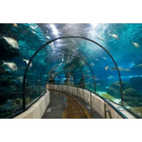 Aquarium de la Rochelle