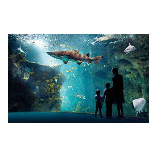 Aquarium de la Rochelle