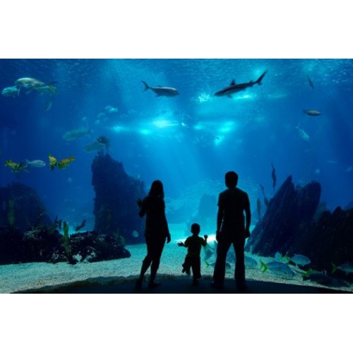 Grand Aquarium de Saint-Malo