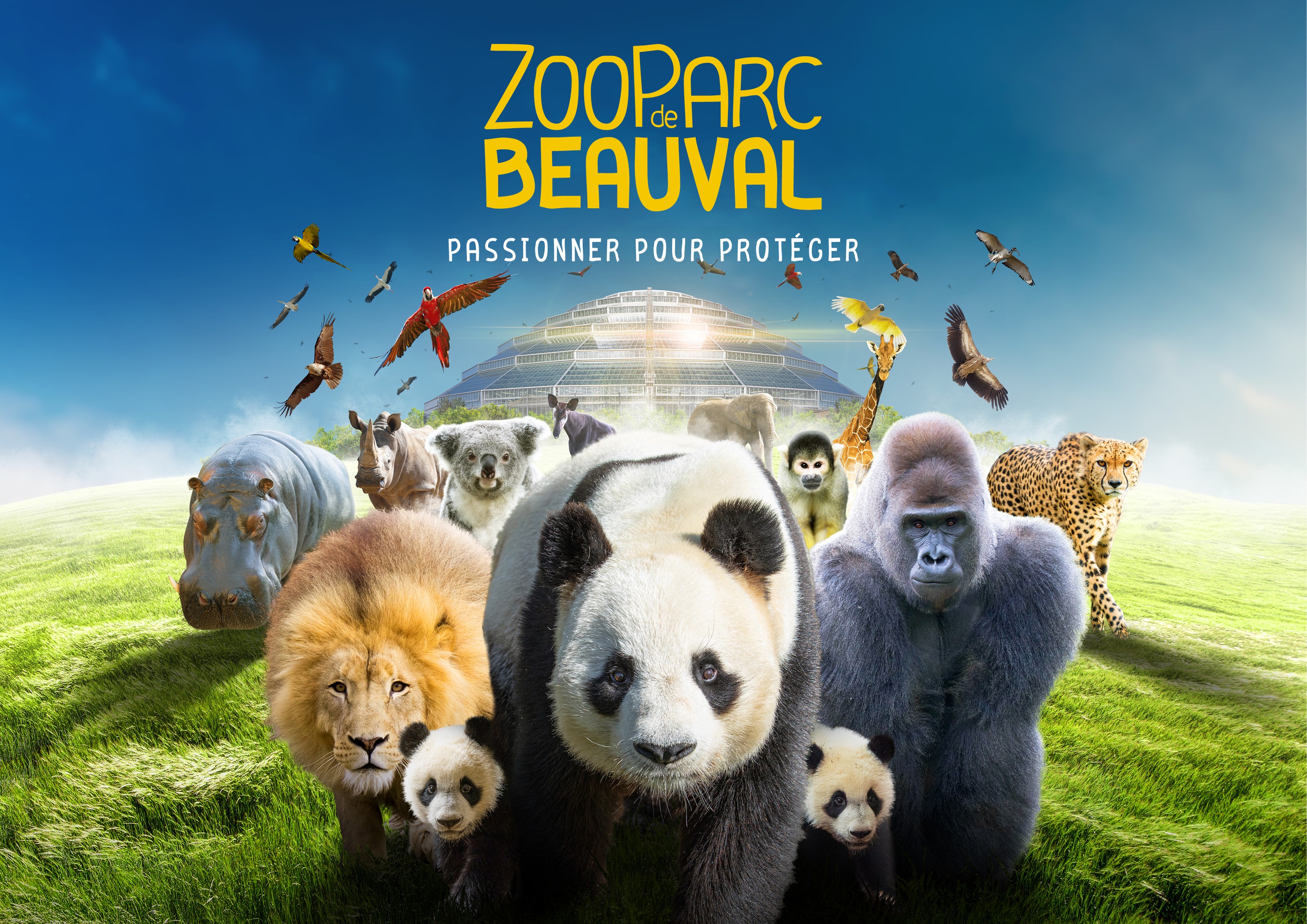 location poussette zoo beauval