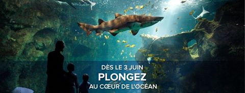 Reouverture Aquarium La Rochelle