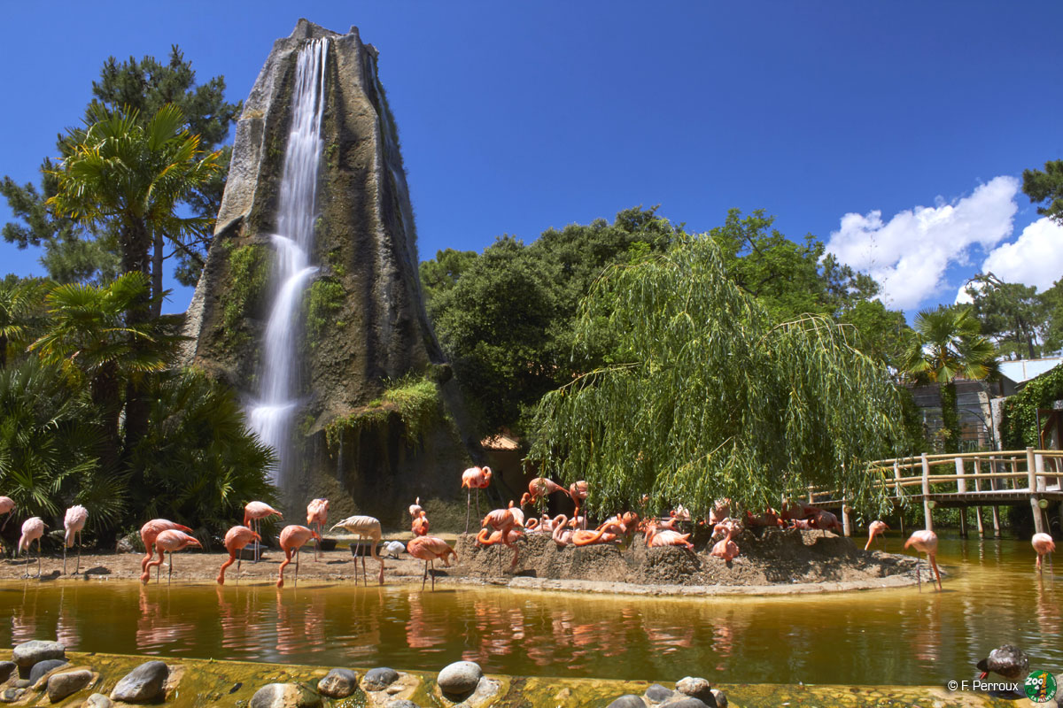 Zoo Palmyre